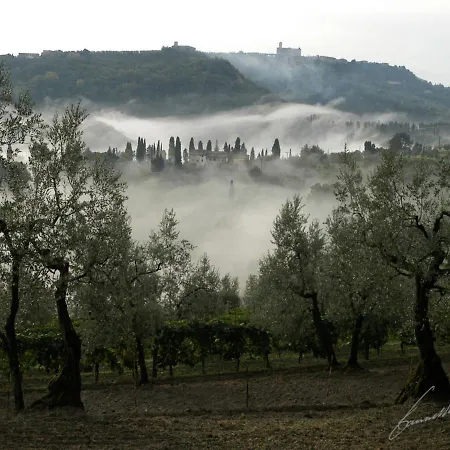 Locazione Turistica Caggio-1 *