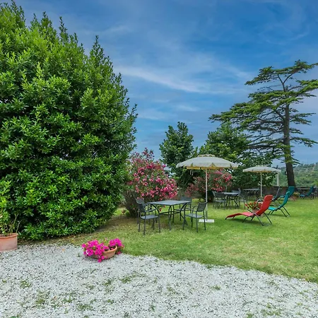 Caggio-1 By Interhome Apartment *